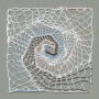 Quadrat